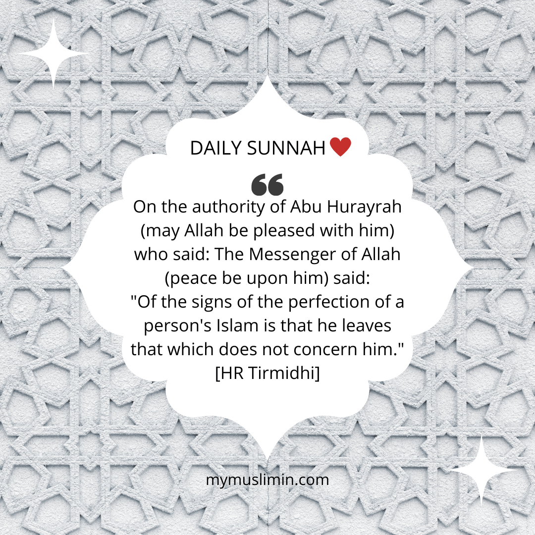 Daily Sunnah – Leaving that Which Does Not Concern&nbsp;One