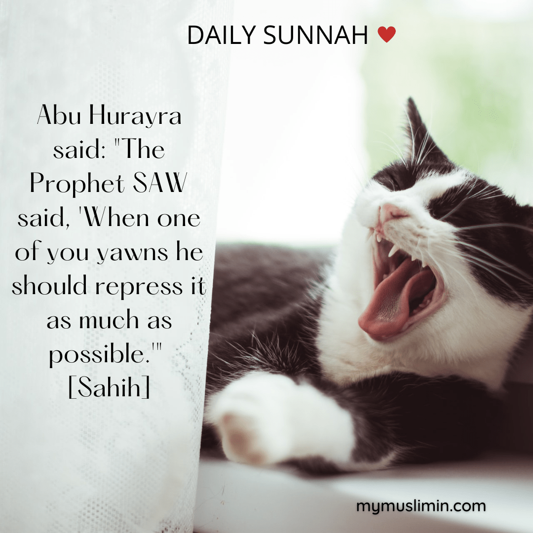 Daily Sunnah – To Yawn or Not to&nbsp;Yawn