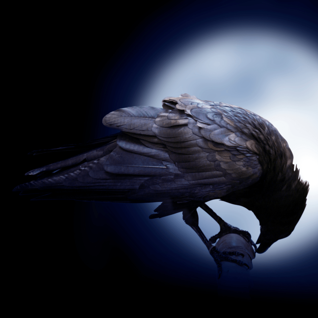 Qabil & Habil – Kisah Cinta Yang Membawa Kepada Pembunuhan 