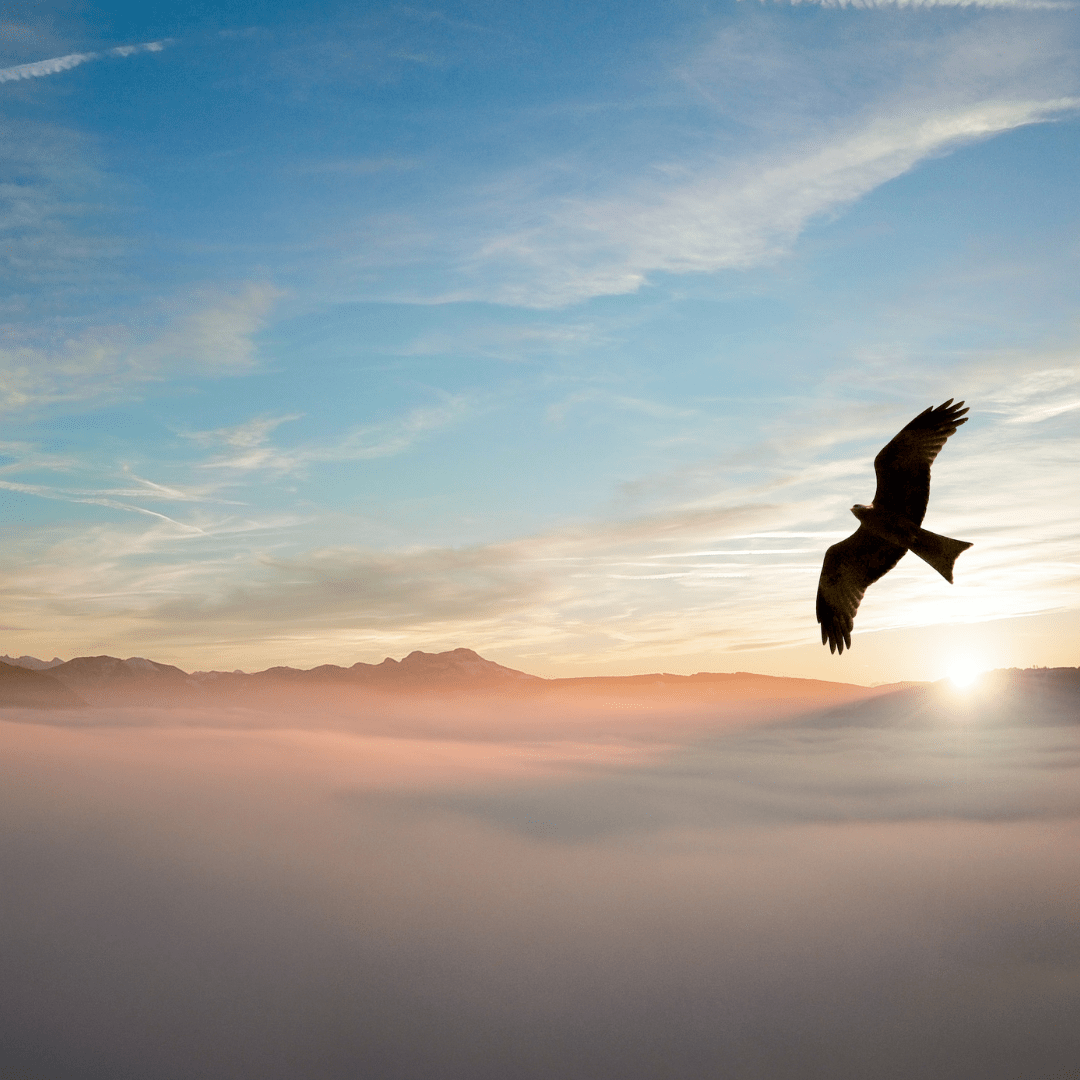 #MONDAYMOTIVATION – Worry Not, Allah Controls&nbsp;Everything