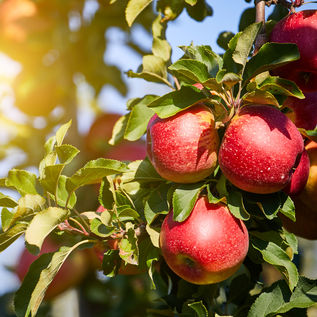 Jom Kenali Malaikat Mikail – Pengagih Rezeki&nbsp;Allah