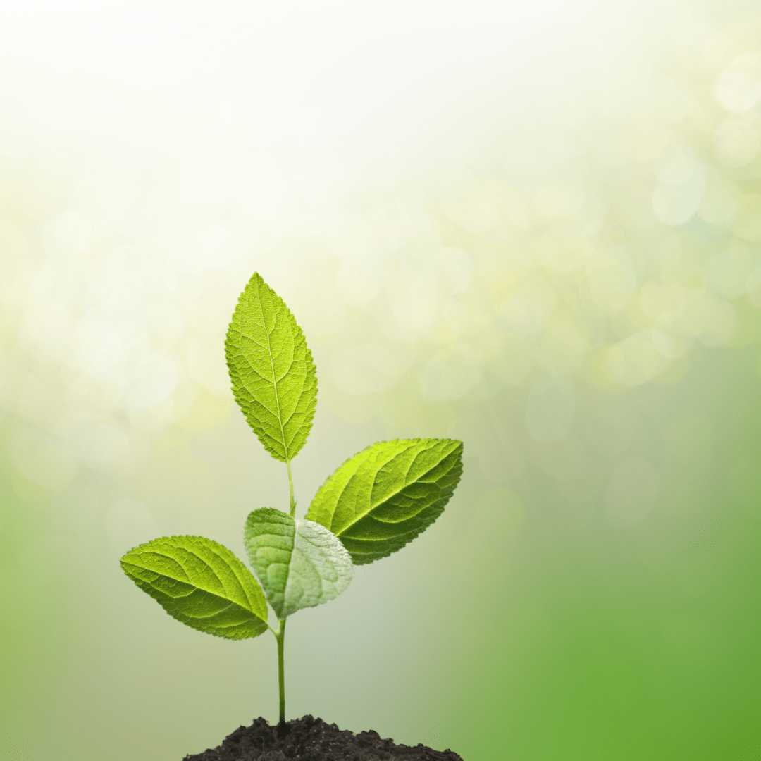 3 Cabaran Orang&nbsp;Muda