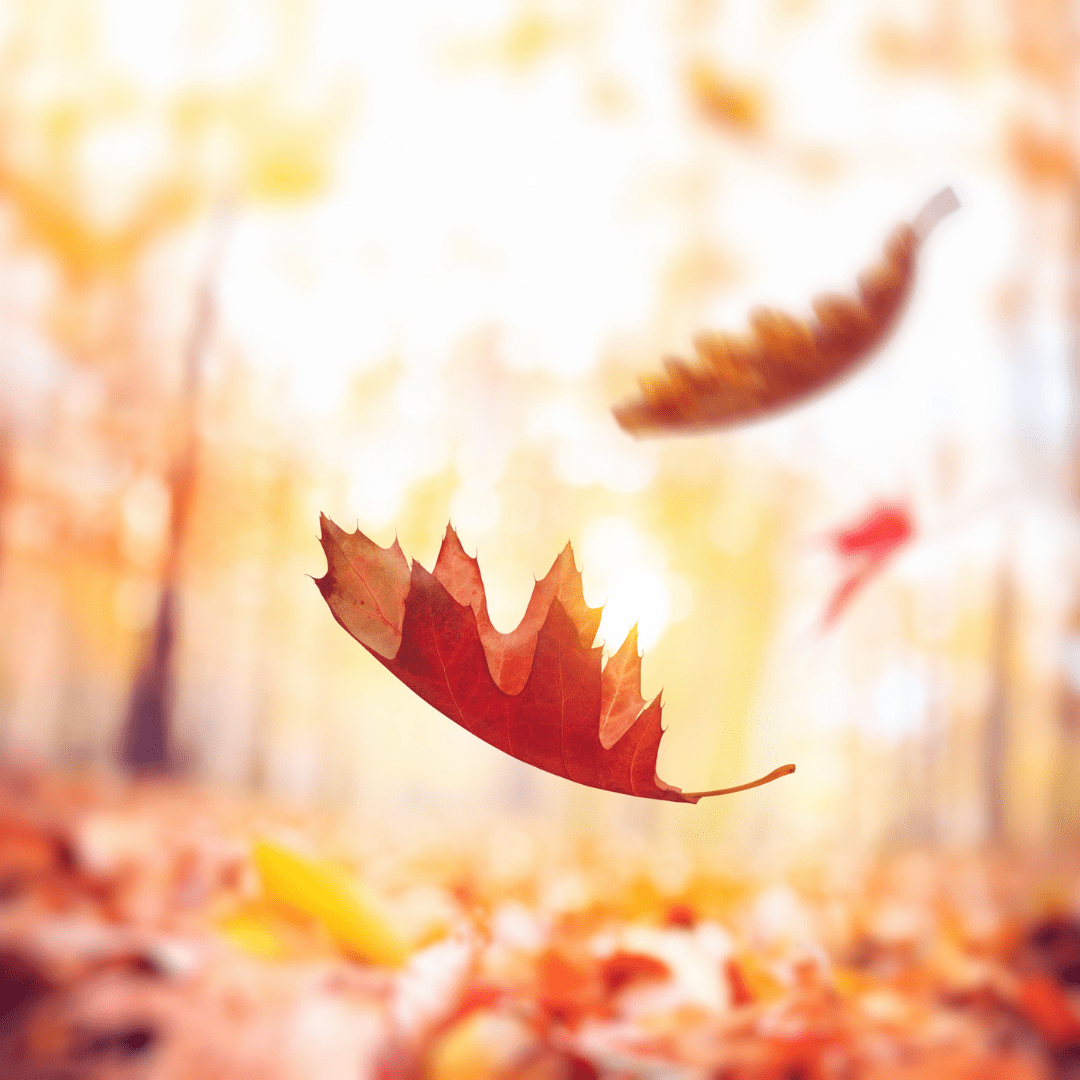 Sakaratul Maut: Detik di Ambang&nbsp;Kematian