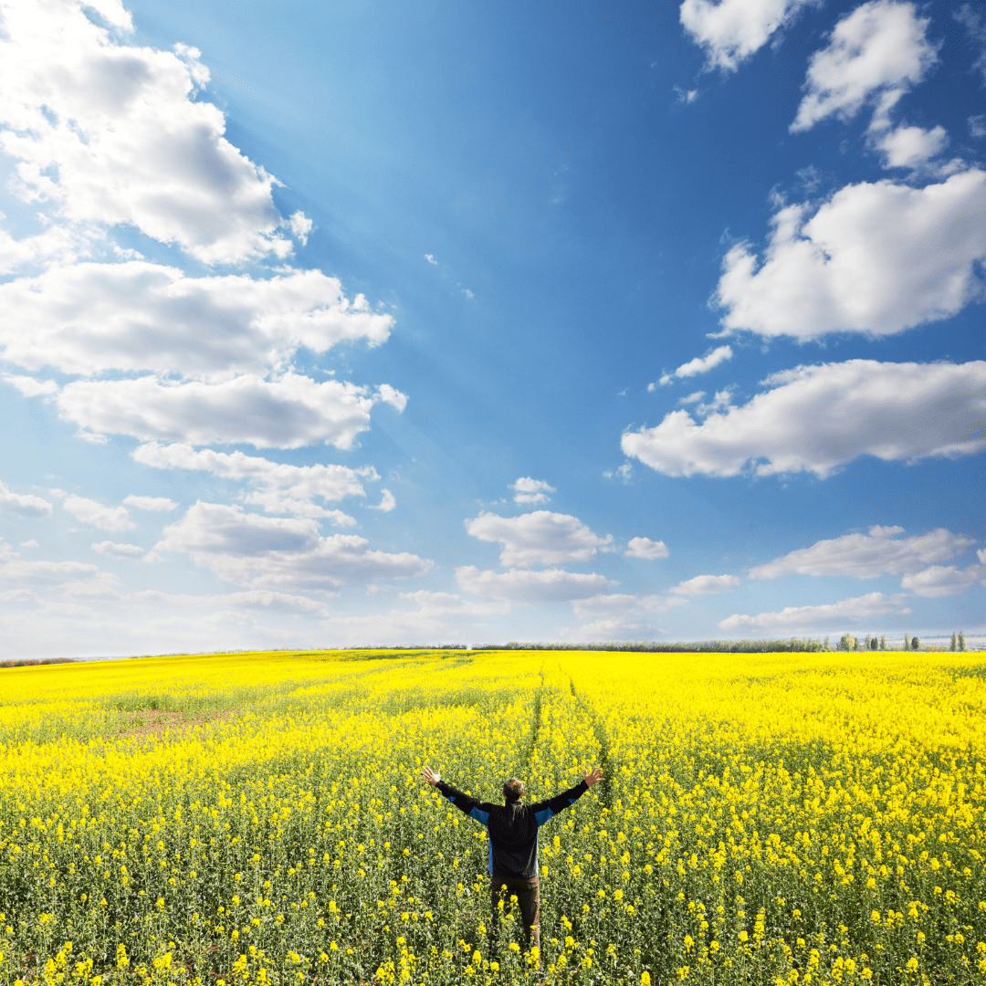 The Ingredients of&nbsp;Happiness