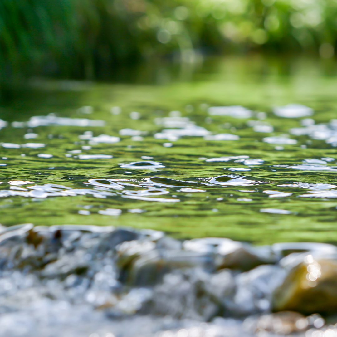 Al-Hasan al-Basri’s Secret to&nbsp;Piety